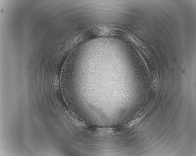 X0000059820469200510241400