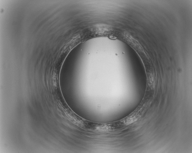 X0000059820470200510241400