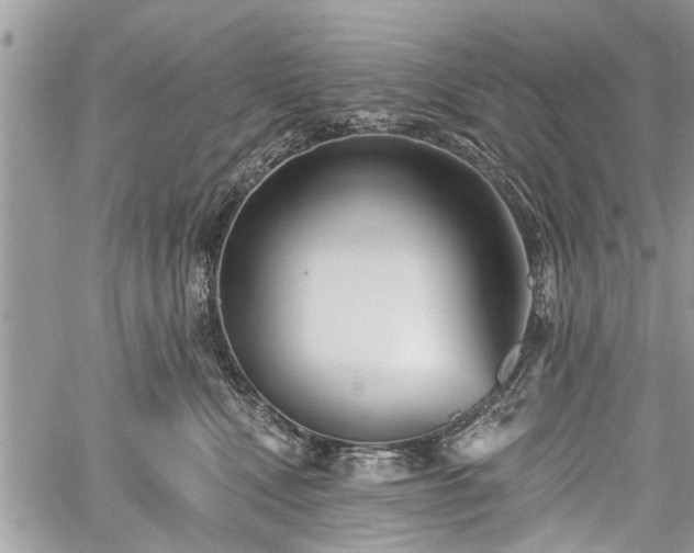 X0000059820472200510241400