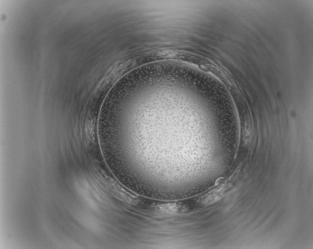 X0000059820473200510241400