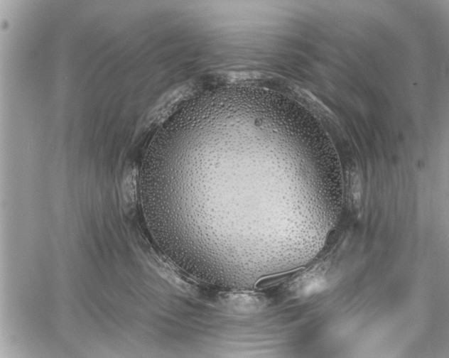 X0000059820475200510241400