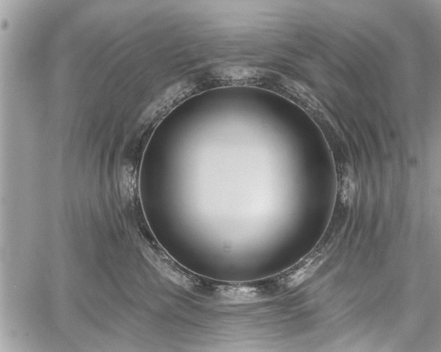 X0000059820476200510241400