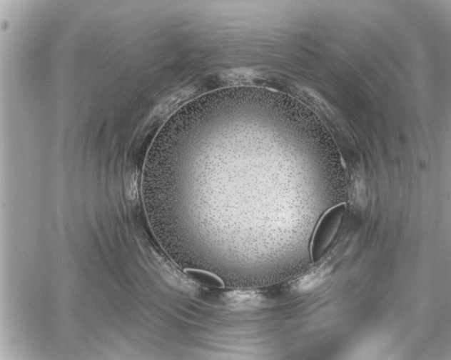 X0000059820477200510241400