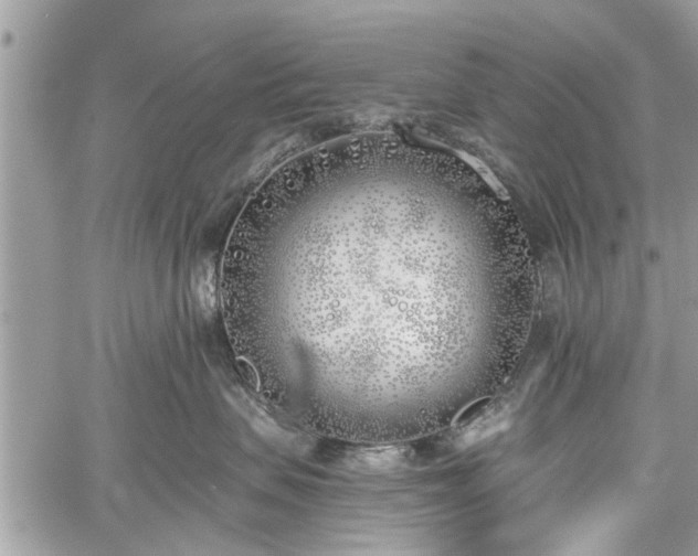 X0000059820479200510241400