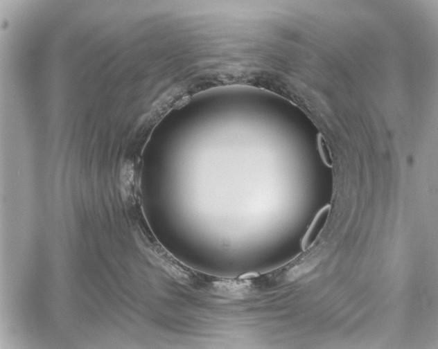 X0000059820480200510241400