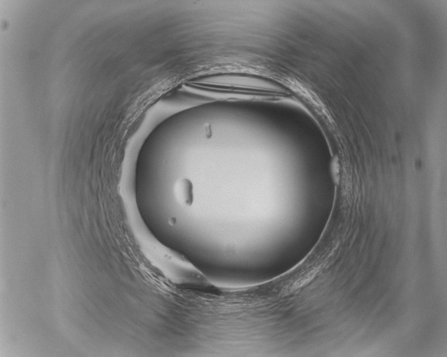 X0000059820481200510241359