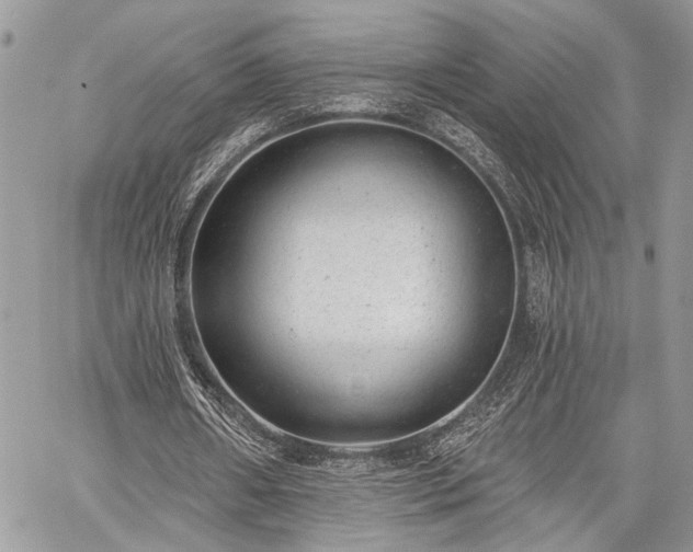 X0000059820482200510241359