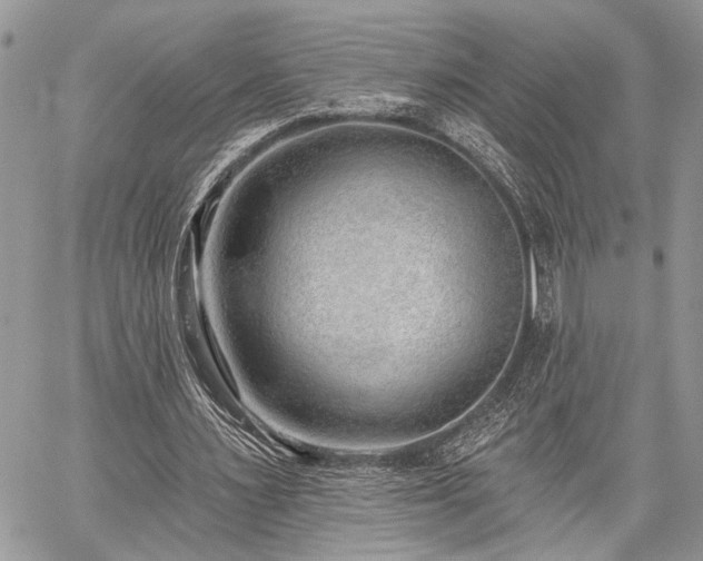 X0000059820483200510241359