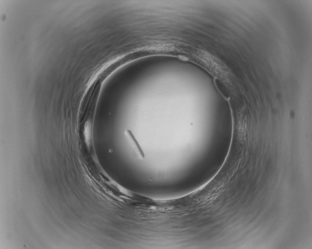 X0000059820484200510241359