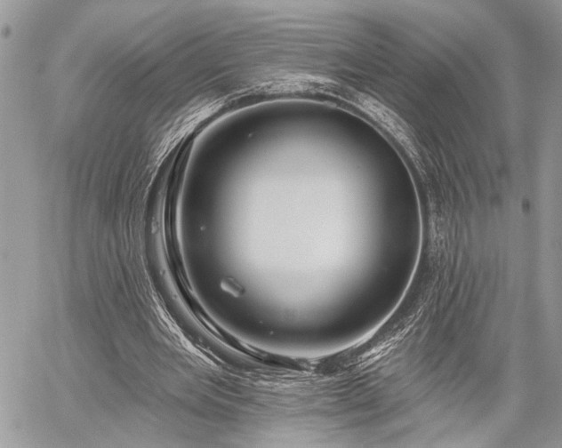 X0000059820485200510241359