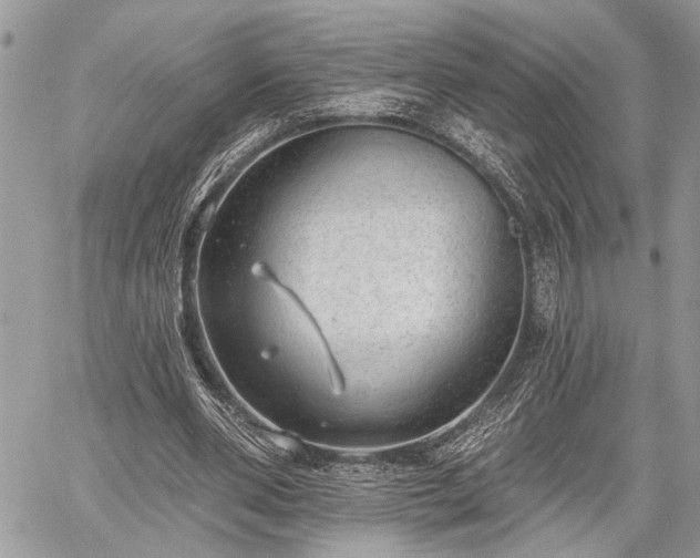 X0000059820486200510241359