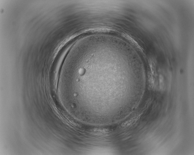 X0000059820487200510241359