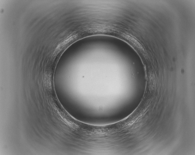 X0000059820489200510241359