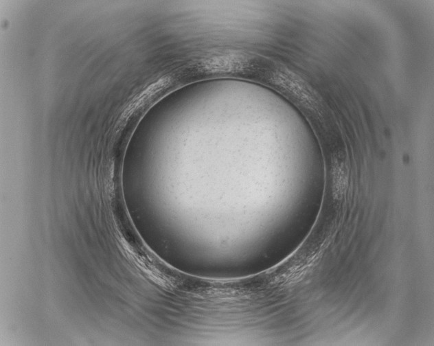 X0000059820490200510241359