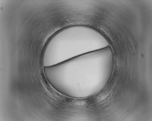 X0000059820491200510241359