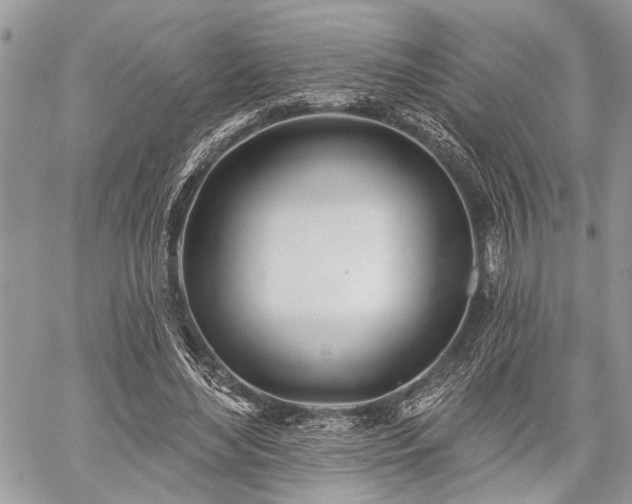 X0000059820492200510241359