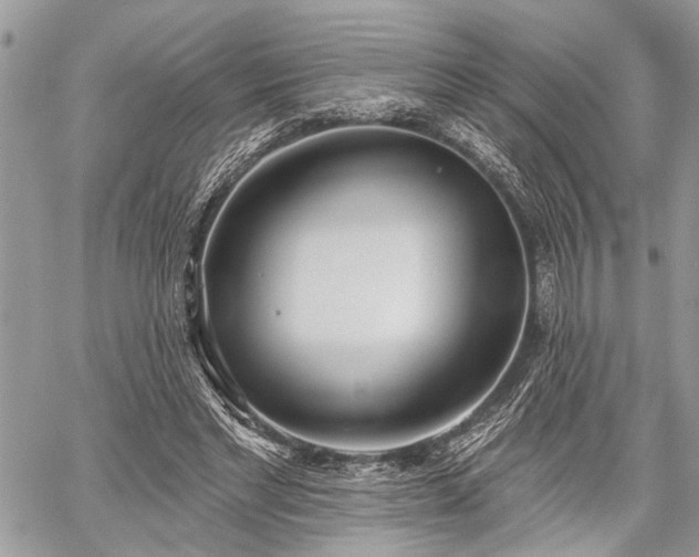 X0000059820493200510241359