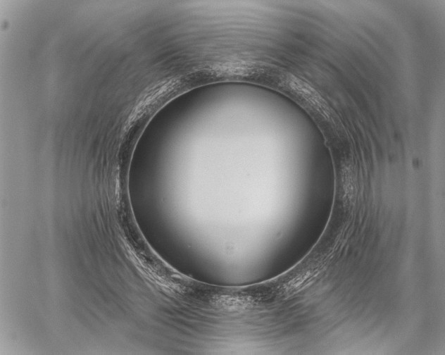 X0000059820494200510241359