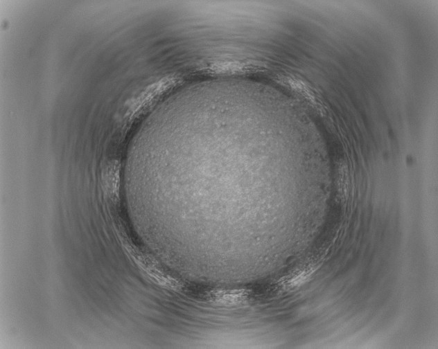 X0000059820495200510241359