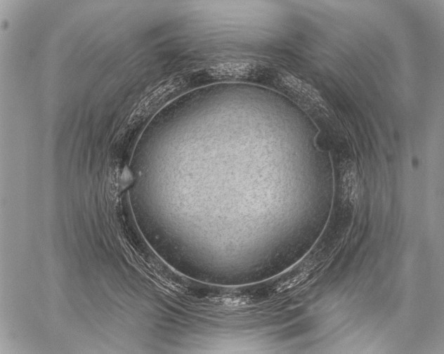 X0000059820498200510241359