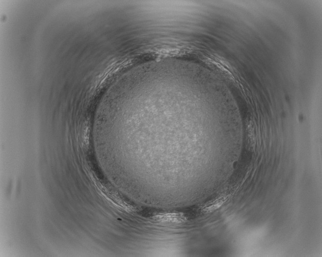 X0000059820499200510241359