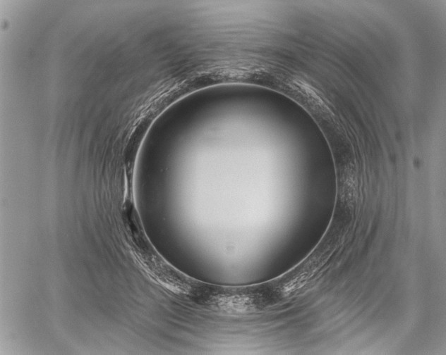 X0000059820500200510241359