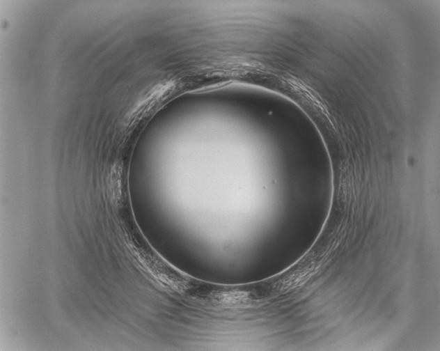 X0000059820501200510241359