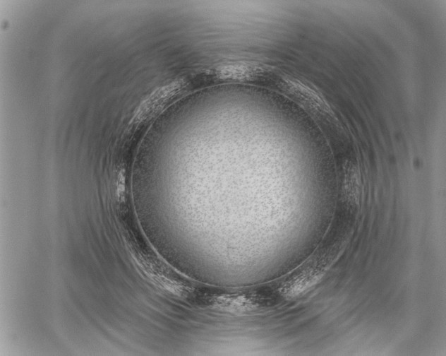 X0000059820502200510241359