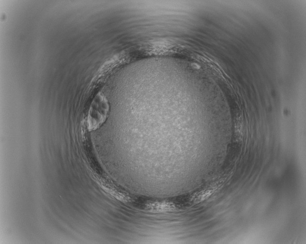 X0000059820503200510241359