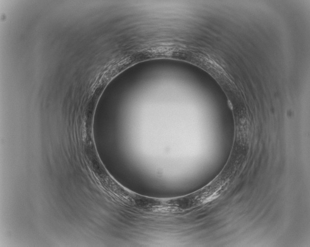 X0000059820504200510241359