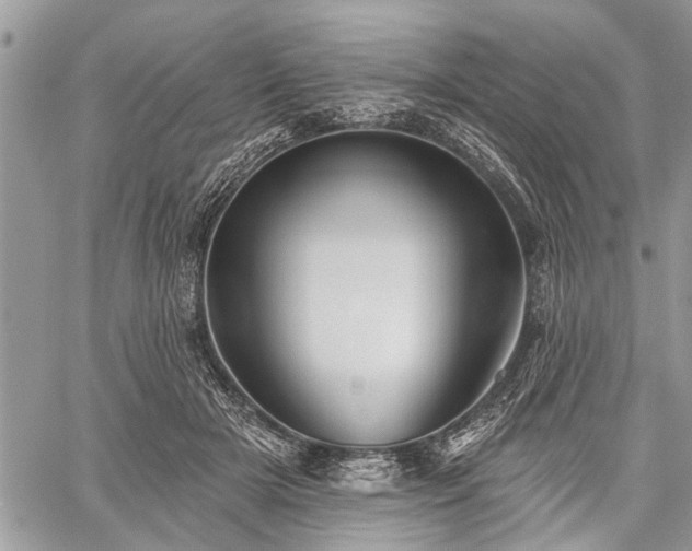 X0000059820505200510241359