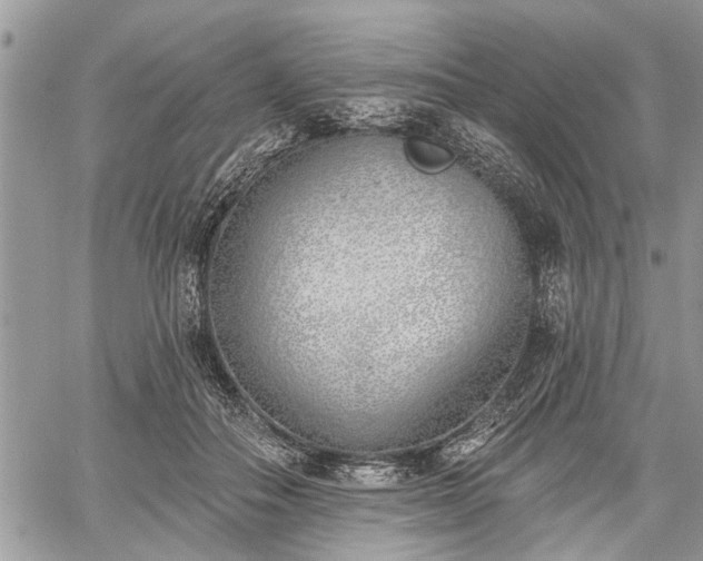 X0000059820506200510241359