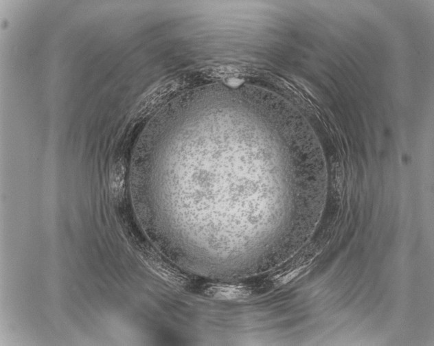 X0000059820507200510241359