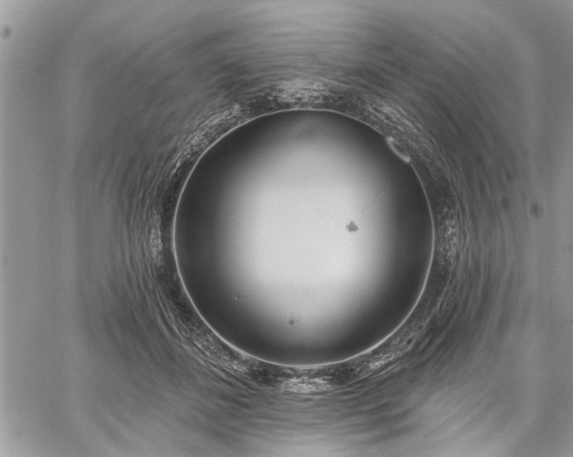 X0000059820508200510241359