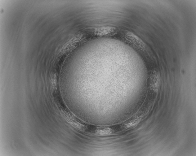 X0000059820510200510241359