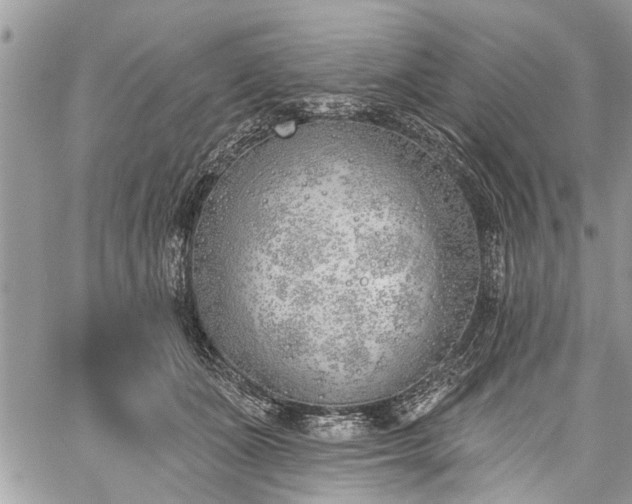 X0000059820511200510241359