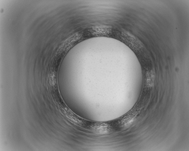 X0000059820514200510241359