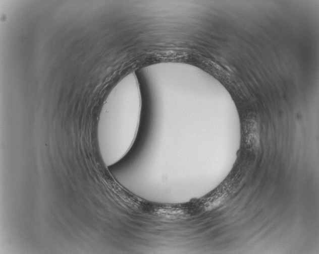 X0000059820515200510241359