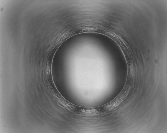 X0000059820517200510241359