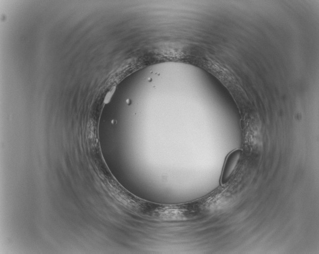 X0000059820518200510241359