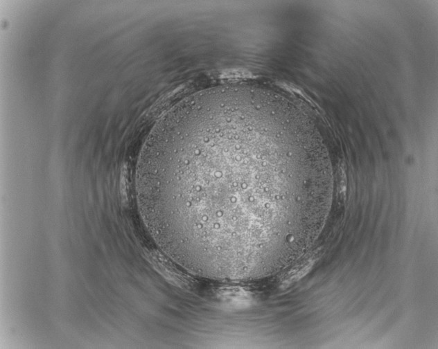 X0000059820519200510241359