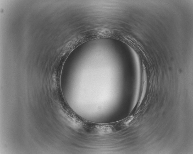 X0000059820520200510241359