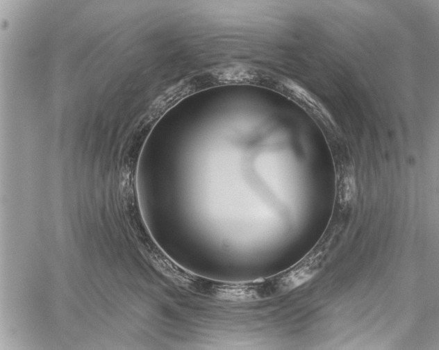 X0000059820521200510241359