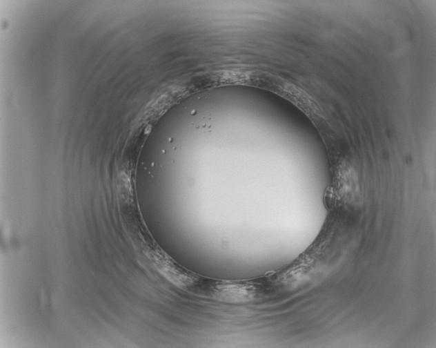 X0000059820522200510241359