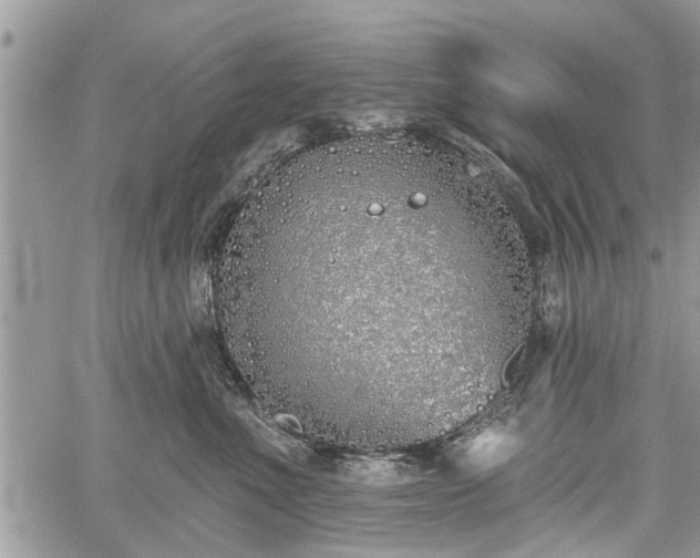 X0000059820523200510241359