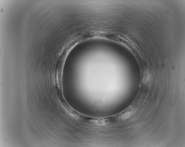 X0000059820524200510241359