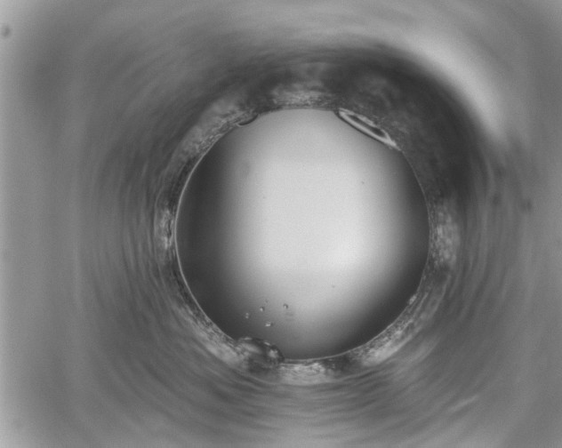 X0000059820525200510241359