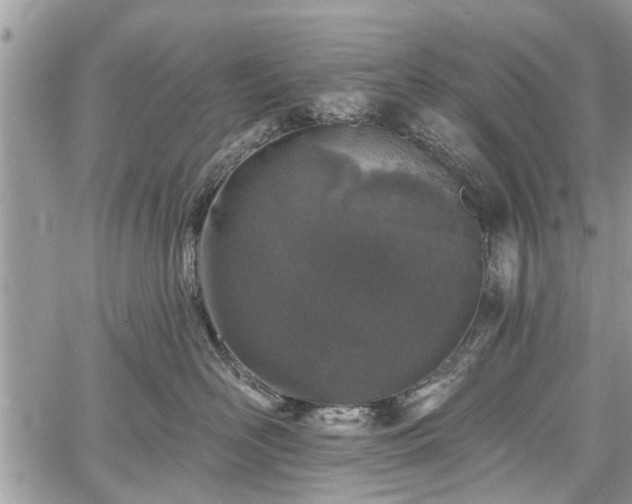 X0000059820526200510241359