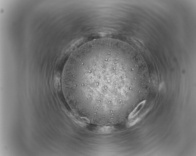 X0000059820527200510241359