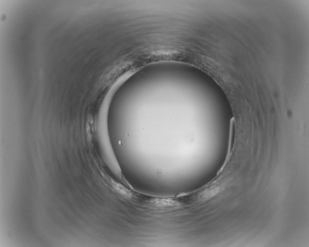 X0000059820528200510241358